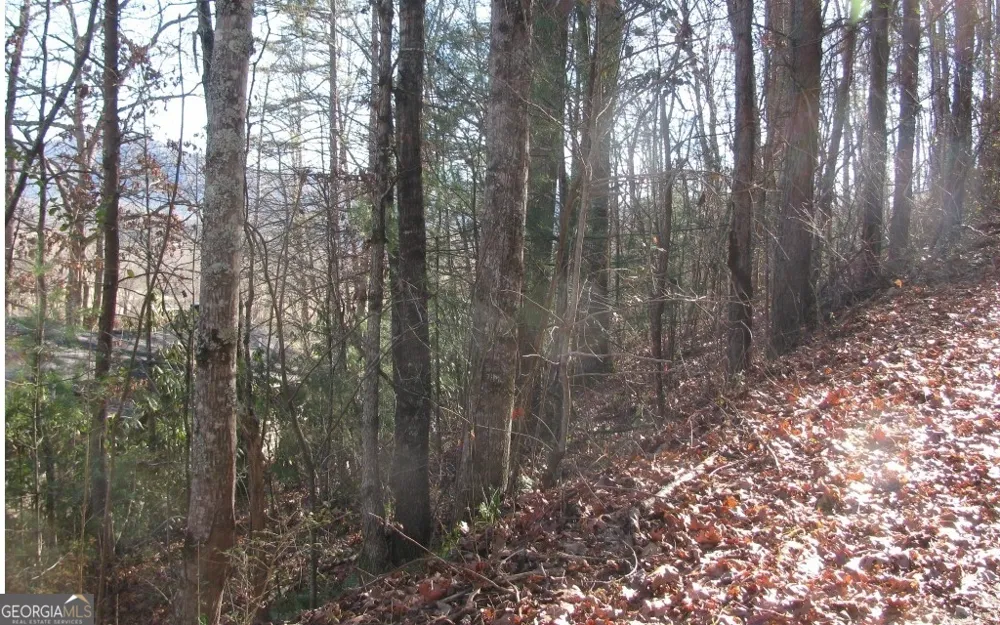 #39 Pinecrest RD Young Harris, GA 30582