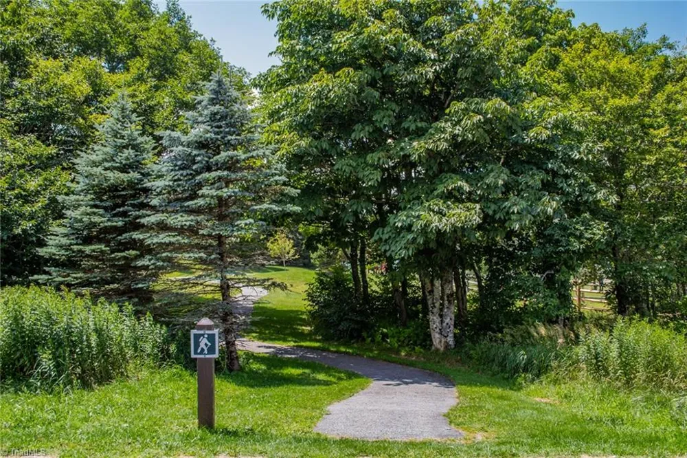 301 Pinnacle Inn Road #4313 Beech Mountain, NC 28604