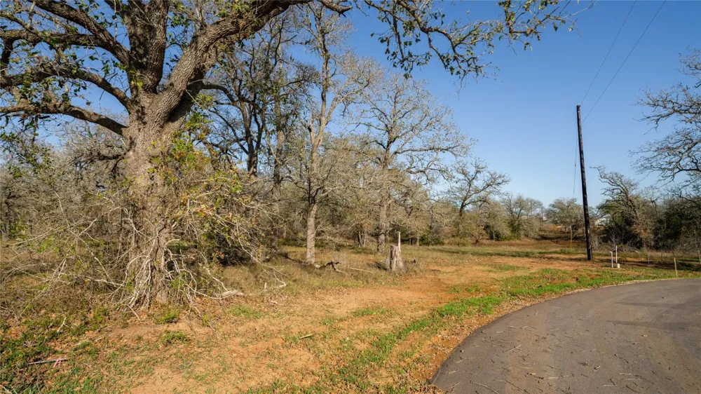 199 AZALEA COURT Dale, TX 78616