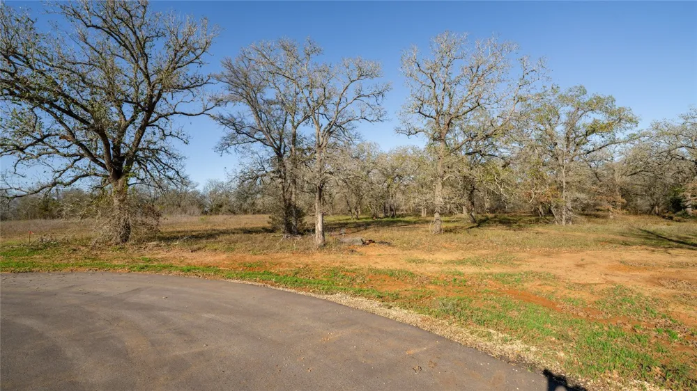 199 AZALEA COURT Dale, TX 78616