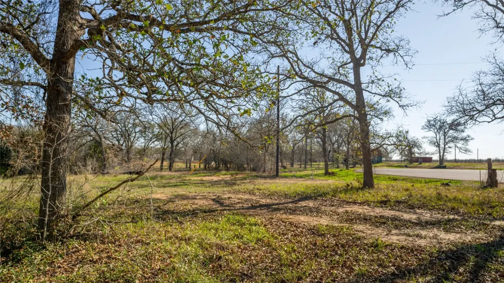 199 AZALEA COURT Dale, TX 78616