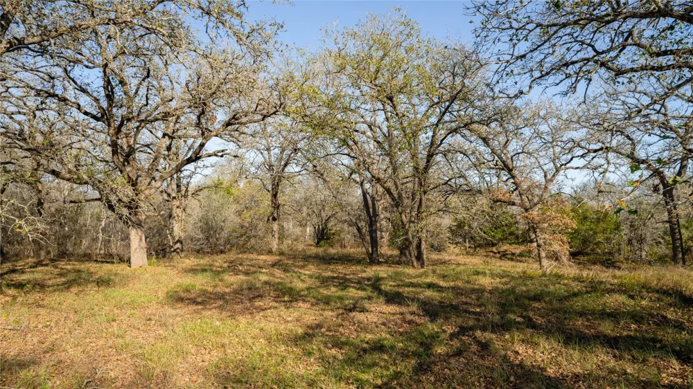 199 AZALEA COURT Dale, TX 78616