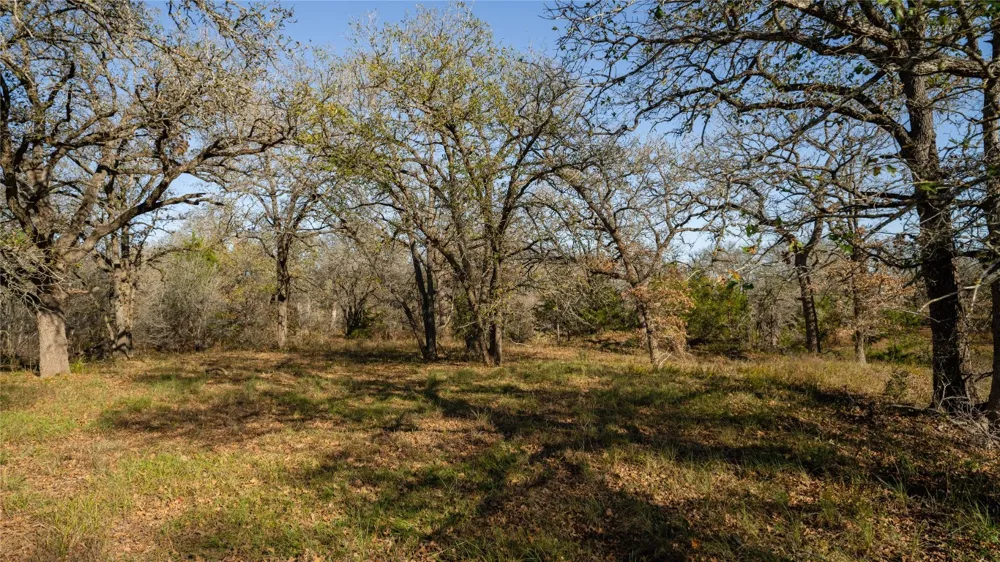 199 AZALEA COURT Dale, TX 78616