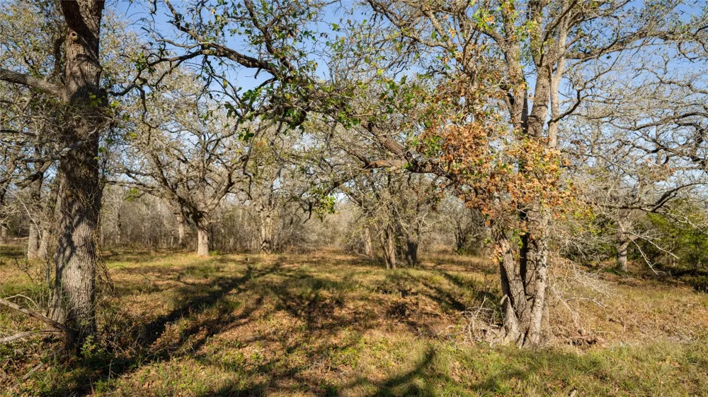 199 AZALEA COURT Dale, TX 78616