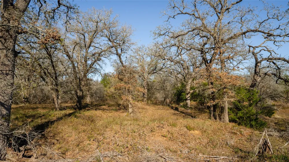 199 AZALEA COURT Dale, TX 78616