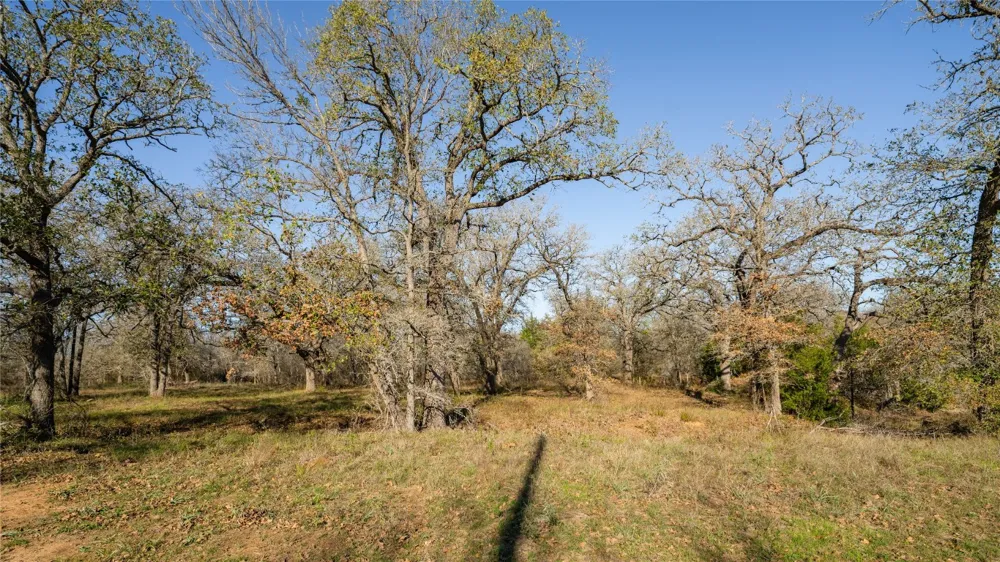 199 AZALEA COURT Dale, TX 78616