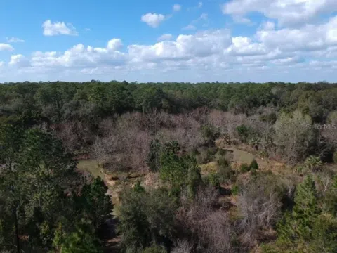 00 Crooked Mile Road