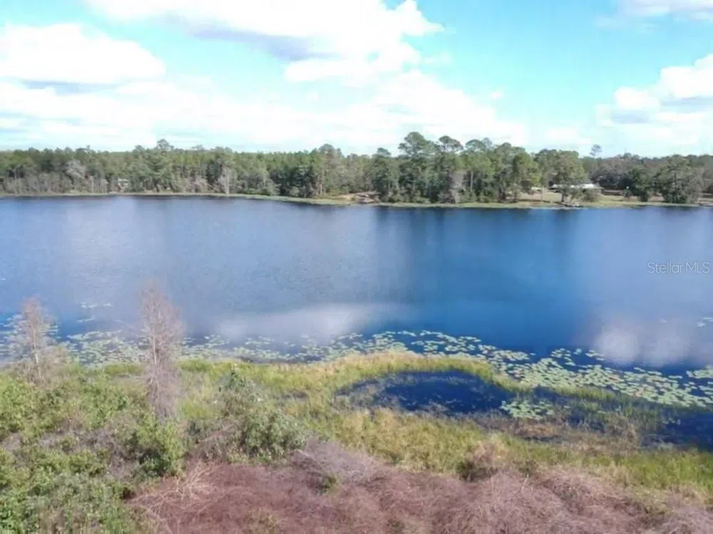 0 Gracie Drive Paisley, FL 32767