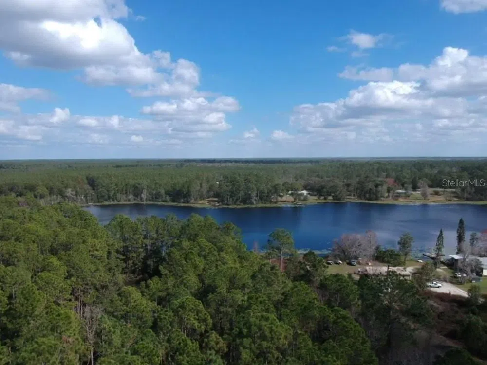0 Gracie Drive Paisley, FL 32767