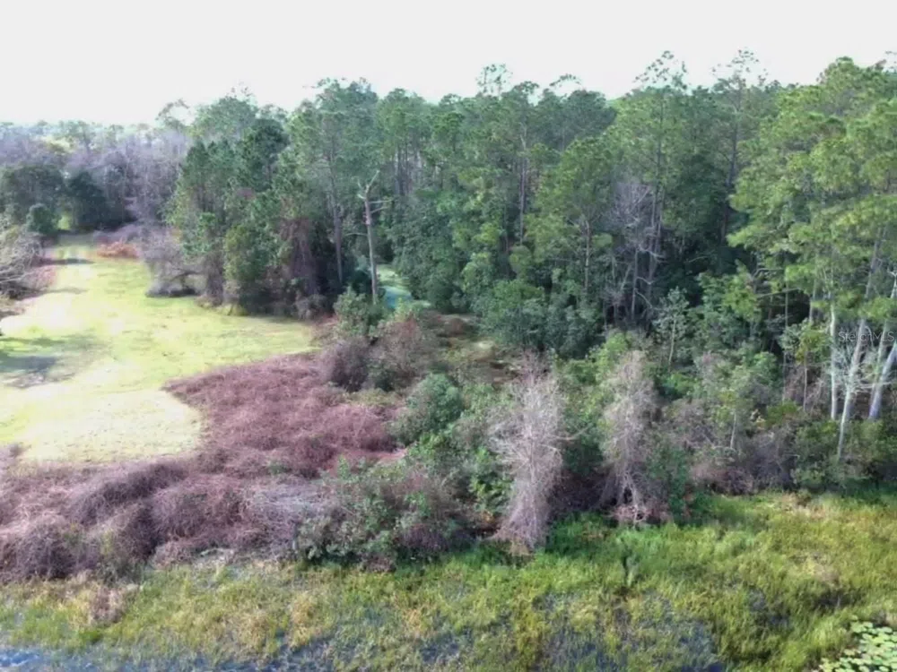 0 Gracie Drive Paisley, FL 32767