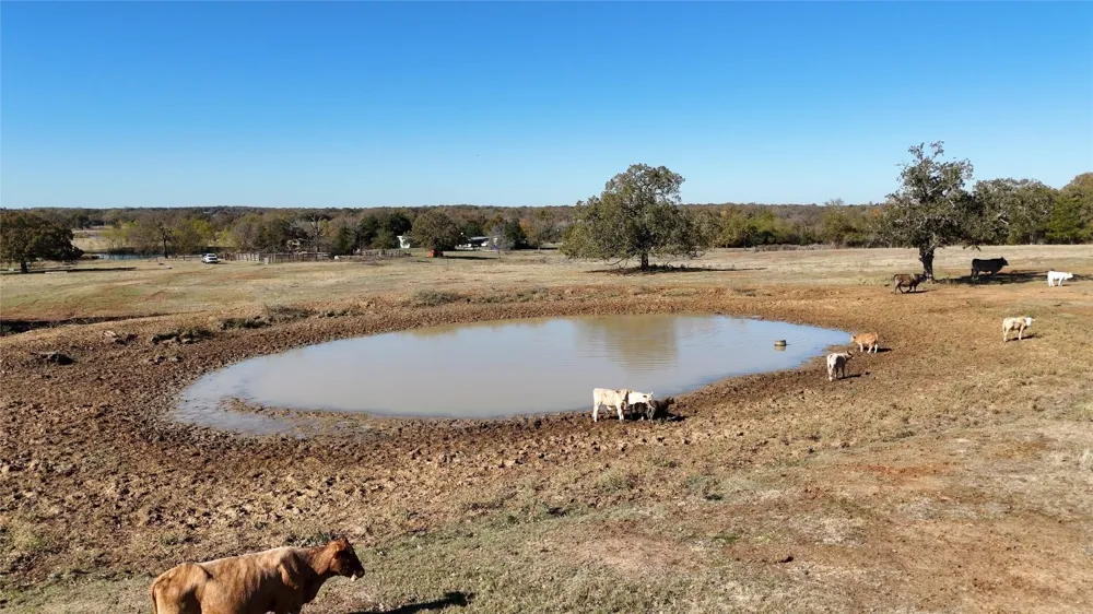 County Road 481 Thrall, TX 76578