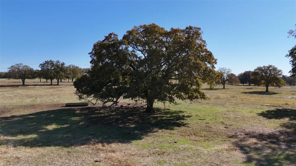 County Road 481 Thrall, TX 76578