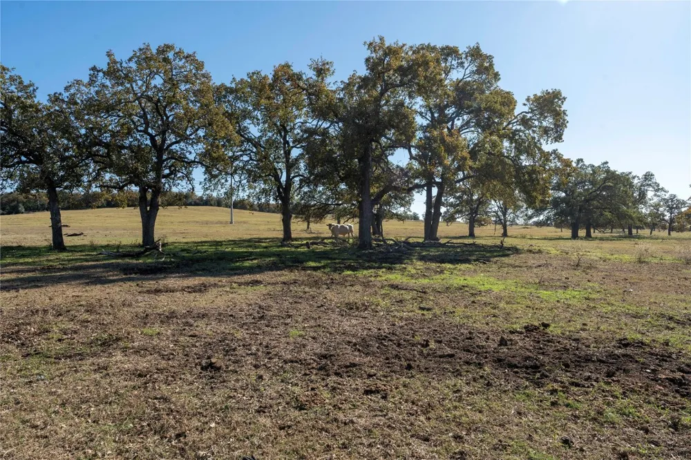 County Road 481 Thrall, TX 76578
