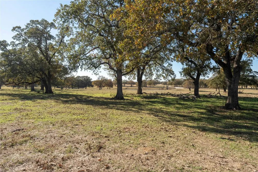 County Road 481 Thrall, TX 76578
