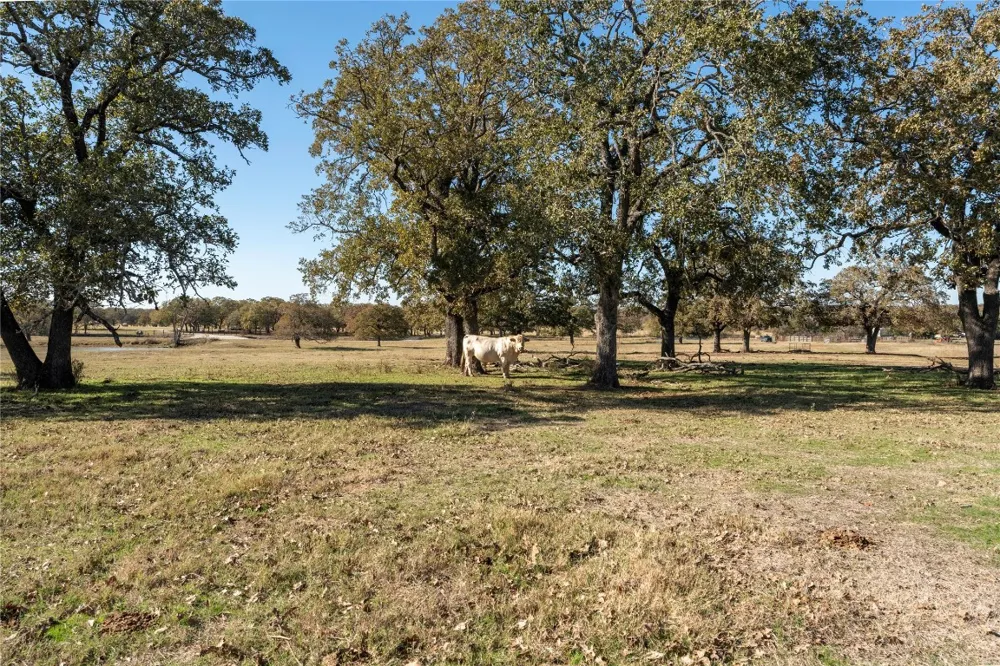 County Road 481 Thrall, TX 76578