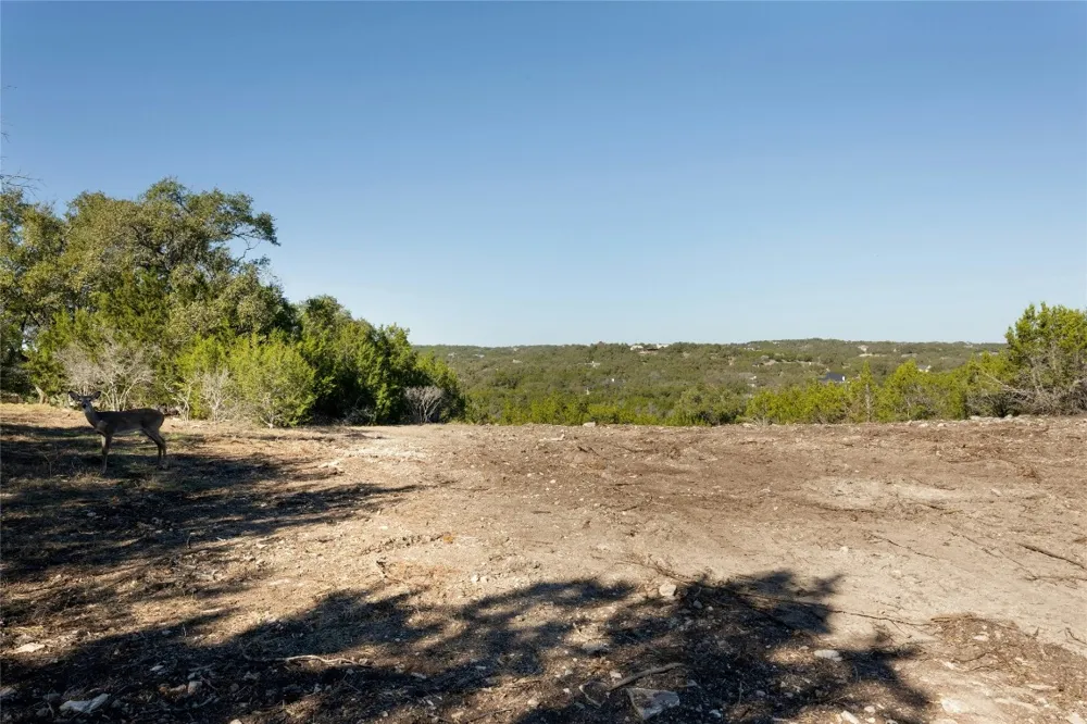 736 Covered Bridge Drive Driftwood, TX 78619