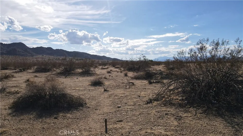 Sunever Road Joshua Tree, CA 92252
