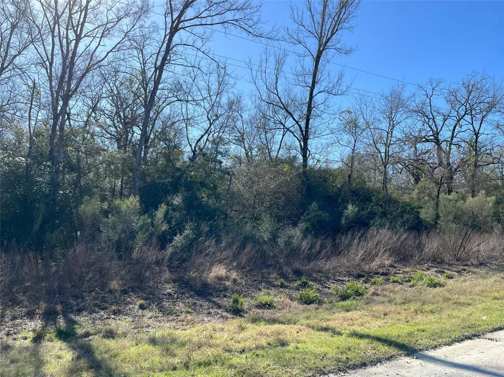 34 Cr 3675 Marquez, TX 77865