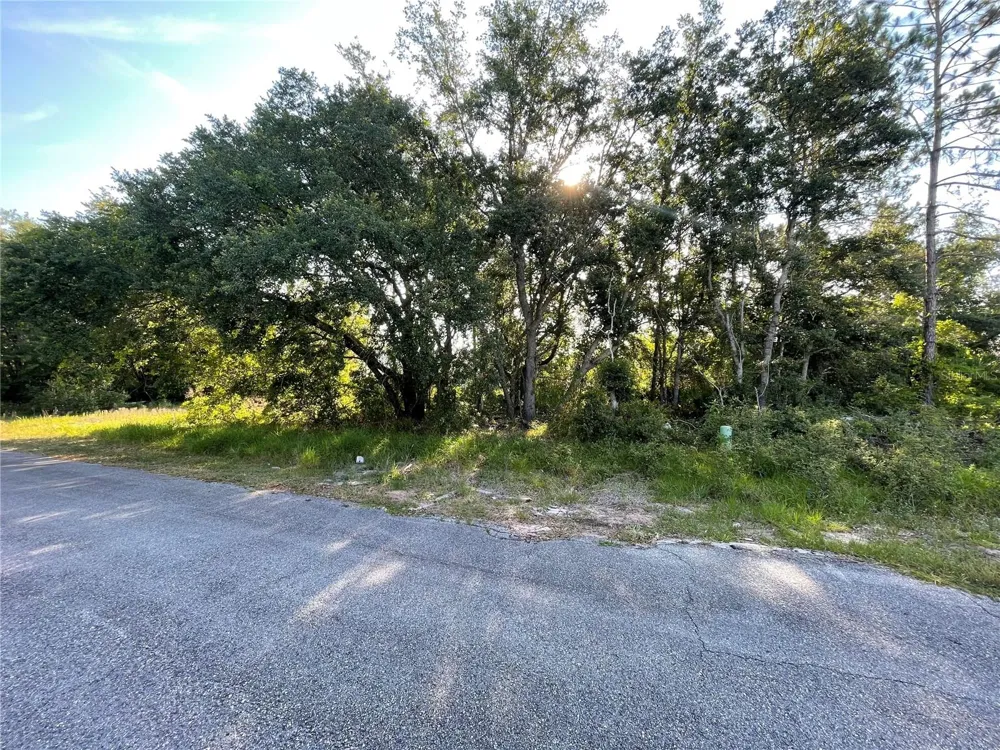 1613 TENCH COURT Poinciana, FL 34759