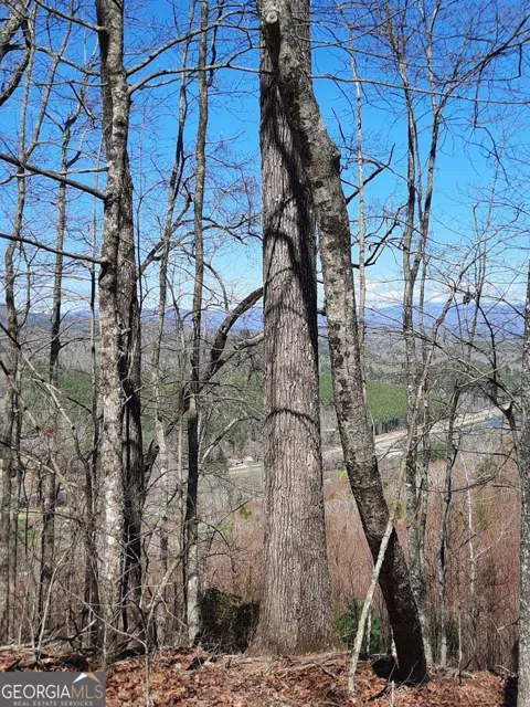 LOT 7 Quail Run RDG