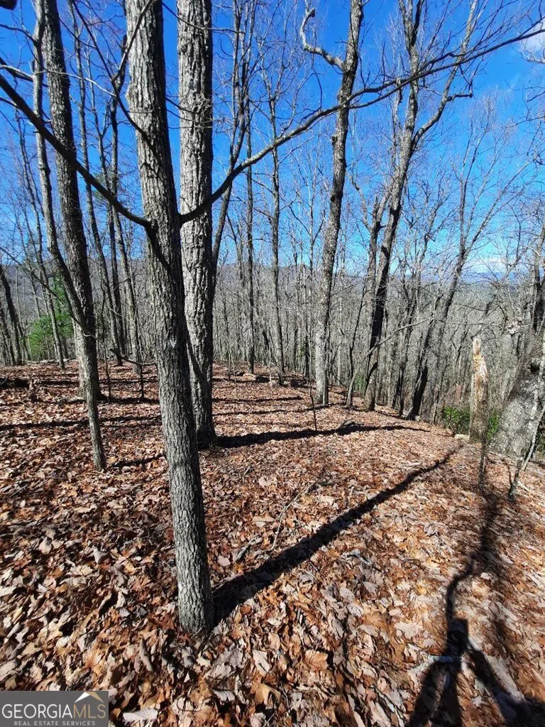 LOT 7 Quail Run RDG Murphy, NC 28906