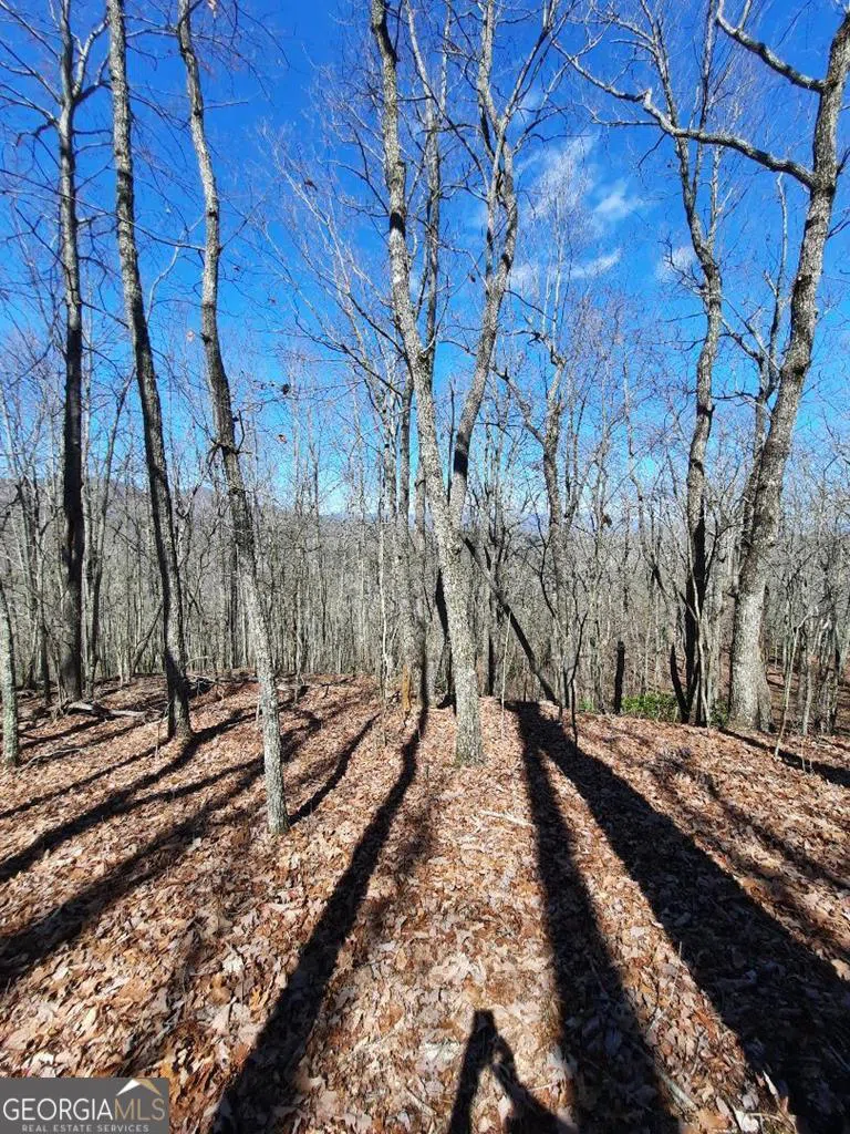LOT 7 Quail Run RDG Murphy, NC 28906