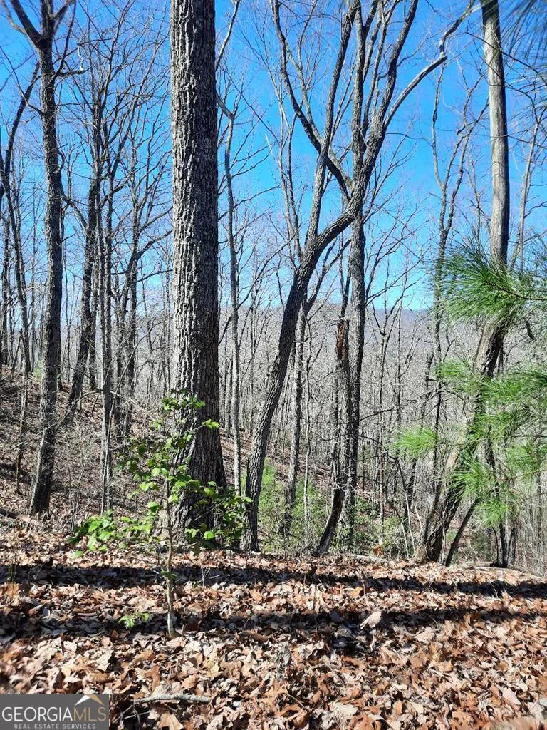 LOT 7 Quail Run RDG Murphy, NC 28906