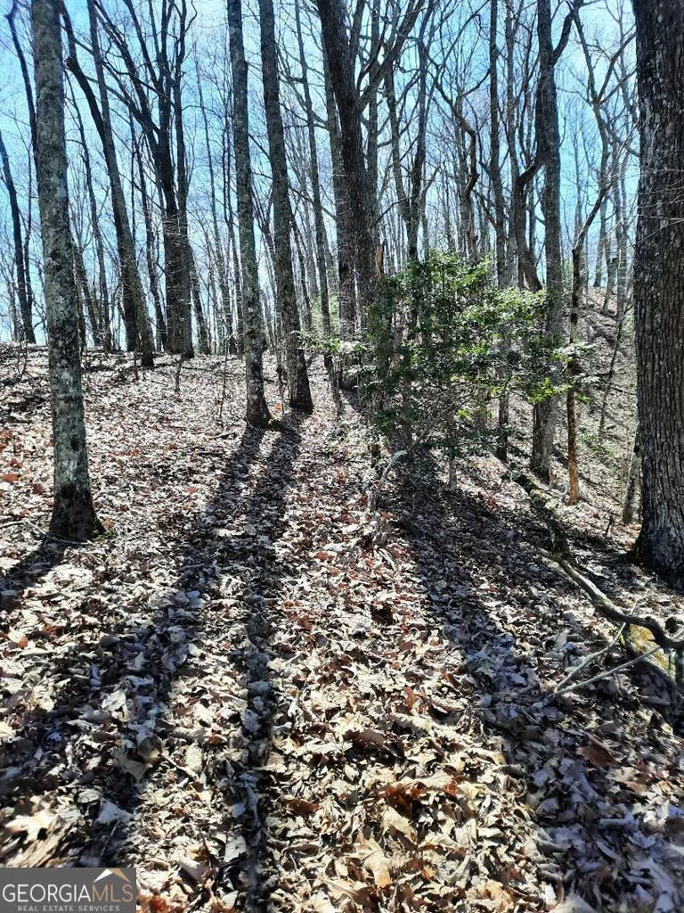 LOT 7 Quail Run RDG Murphy, NC 28906