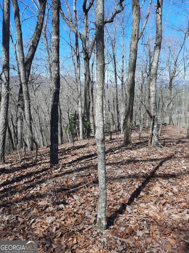 LOT 7 Quail Run RDG Murphy, NC 28906
