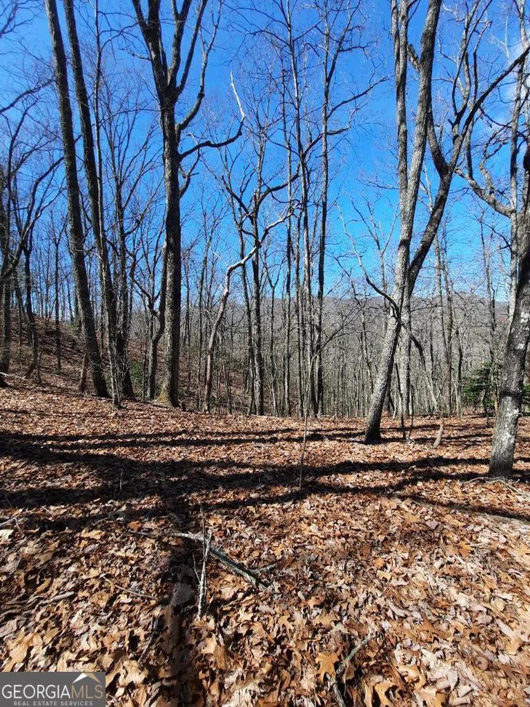 LOT 7 Quail Run RDG Murphy, NC 28906