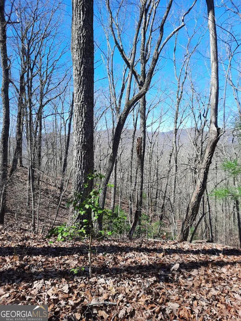 LOT 7 Quail Run RDG Murphy, NC 28906