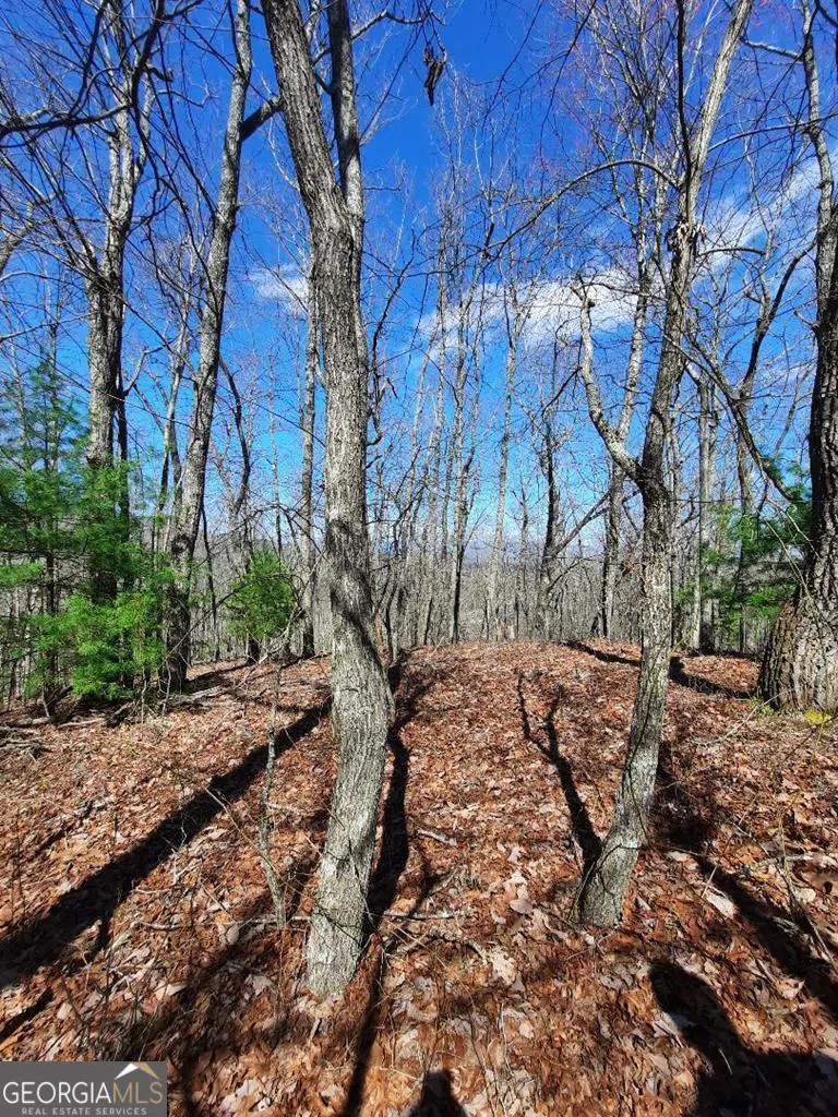LOT 7 Quail Run RDG Murphy, NC 28906