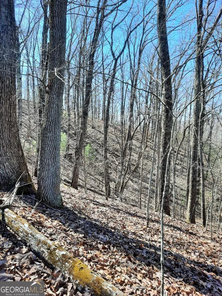 LOT 7 Quail Run RDG Murphy, NC 28906