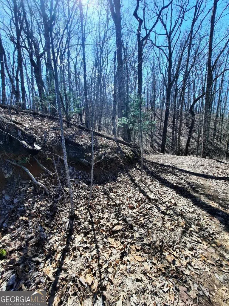 LOT 7 Quail Run RDG Murphy, NC 28906
