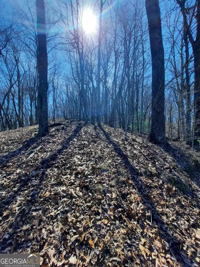LOT 7 Quail Run RDG Murphy, NC 28906