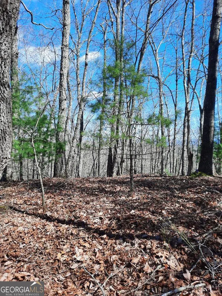 LOT 7 Quail Run RDG Murphy, NC 28906