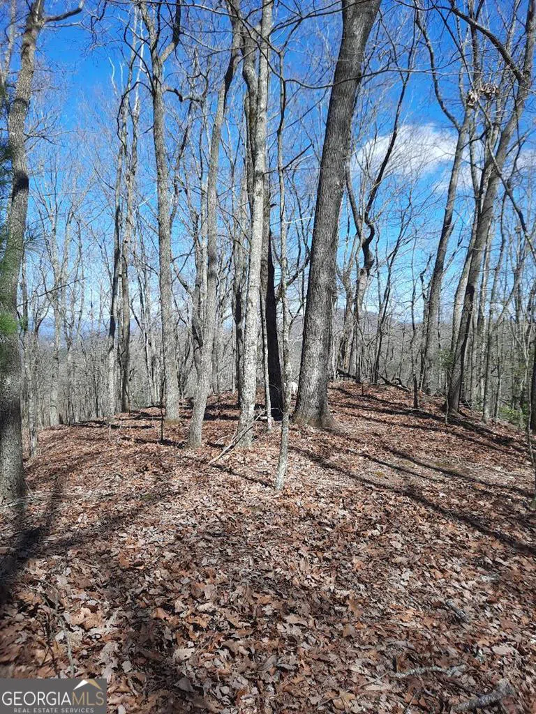 LOT 7 Quail Run RDG Murphy, NC 28906