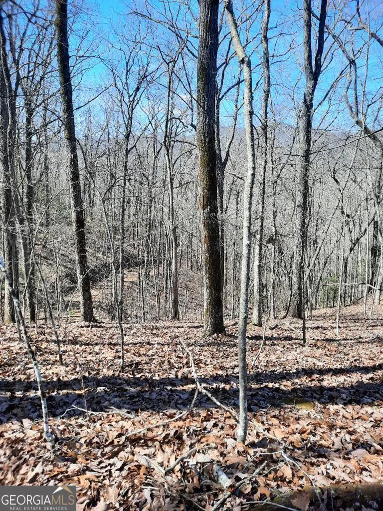 LOT 7 Quail Run RDG Murphy, NC 28906