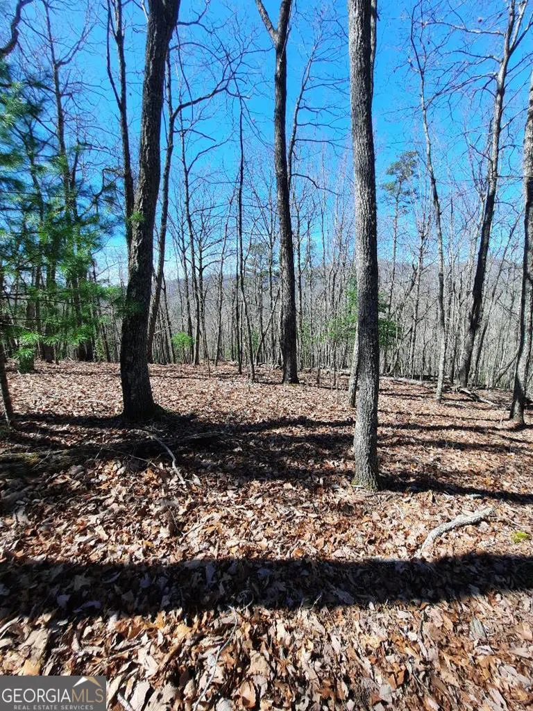 LOT 7 Quail Run RDG Murphy, NC 28906