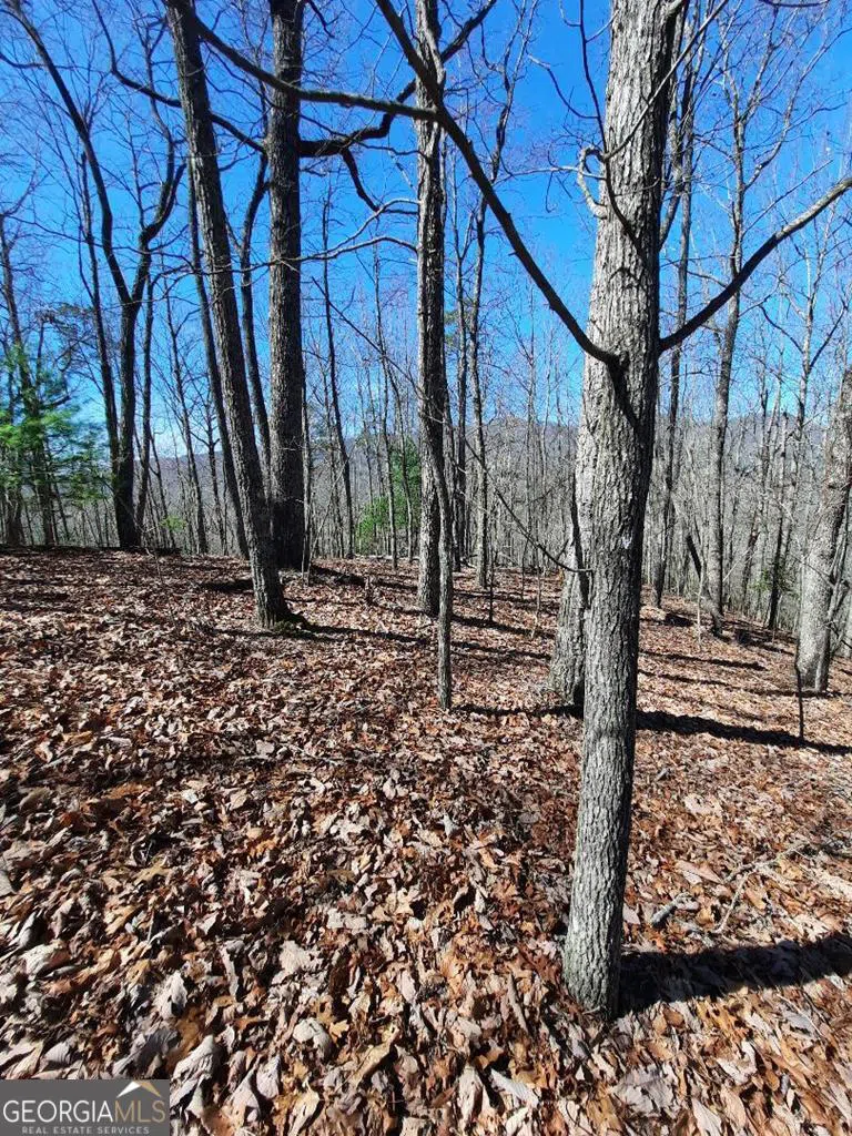 LOT 7 Quail Run RDG Murphy, NC 28906