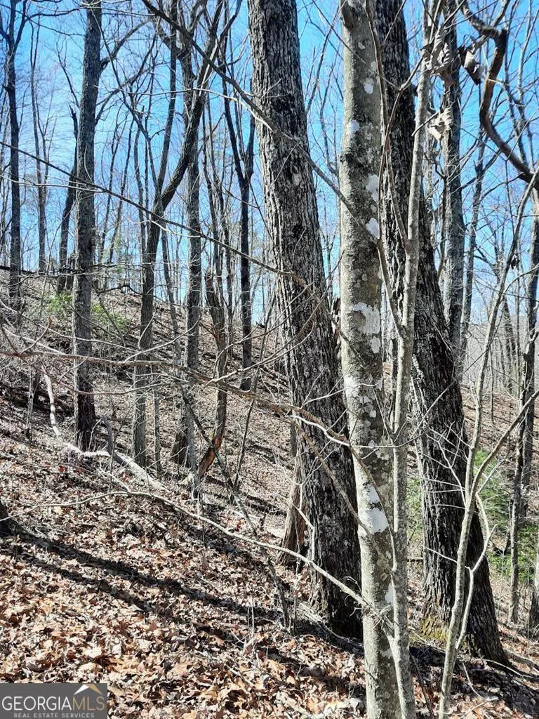 LOT 7 Quail Run RDG Murphy, NC 28906