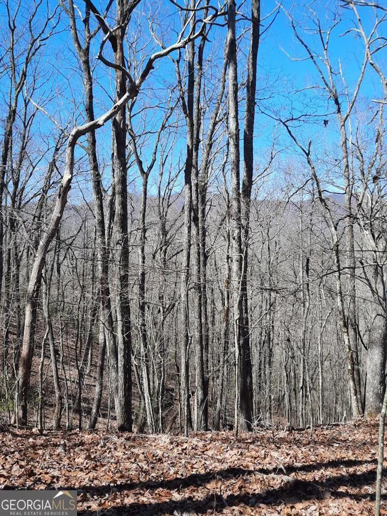 LOT 7 Quail Run RDG Murphy, NC 28906