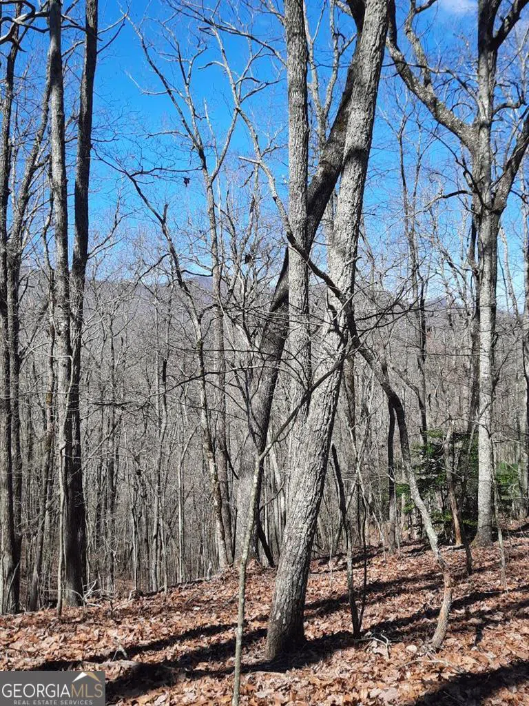 LOT 7 Quail Run RDG Murphy, NC 28906
