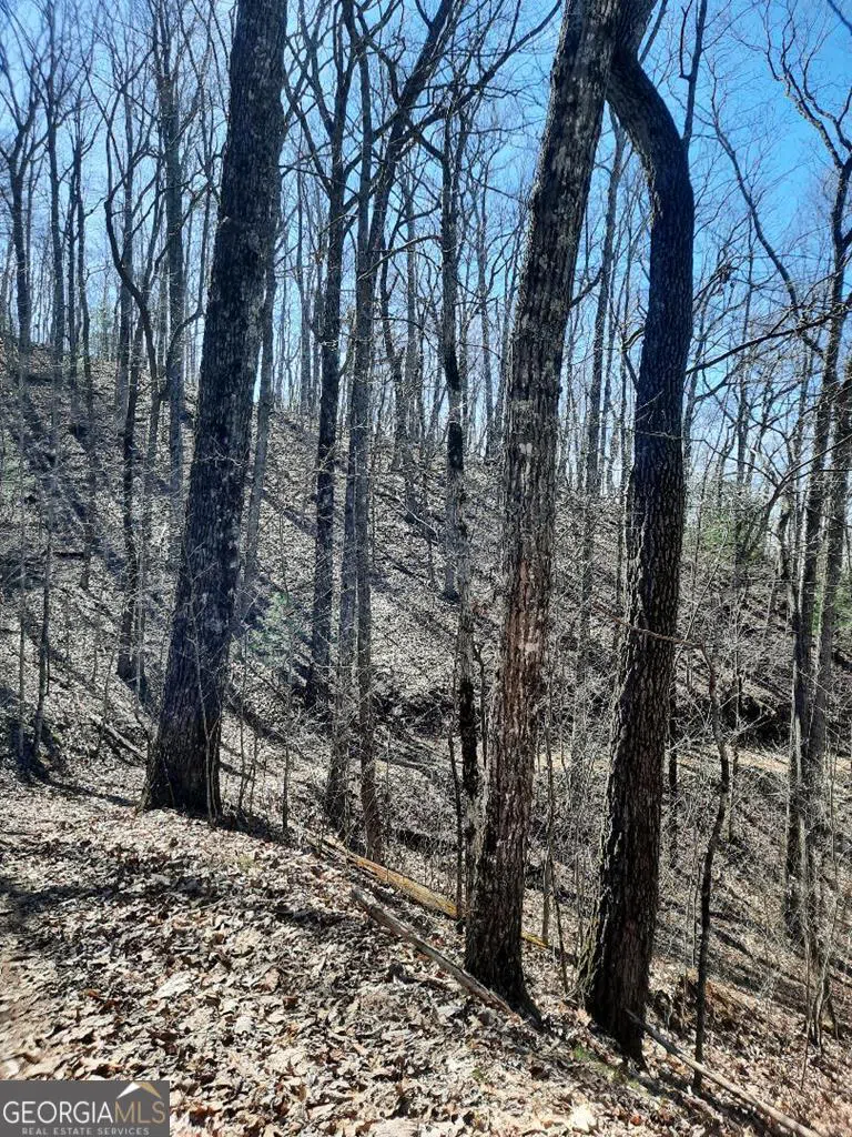 LOT 7 Quail Run RDG Murphy, NC 28906