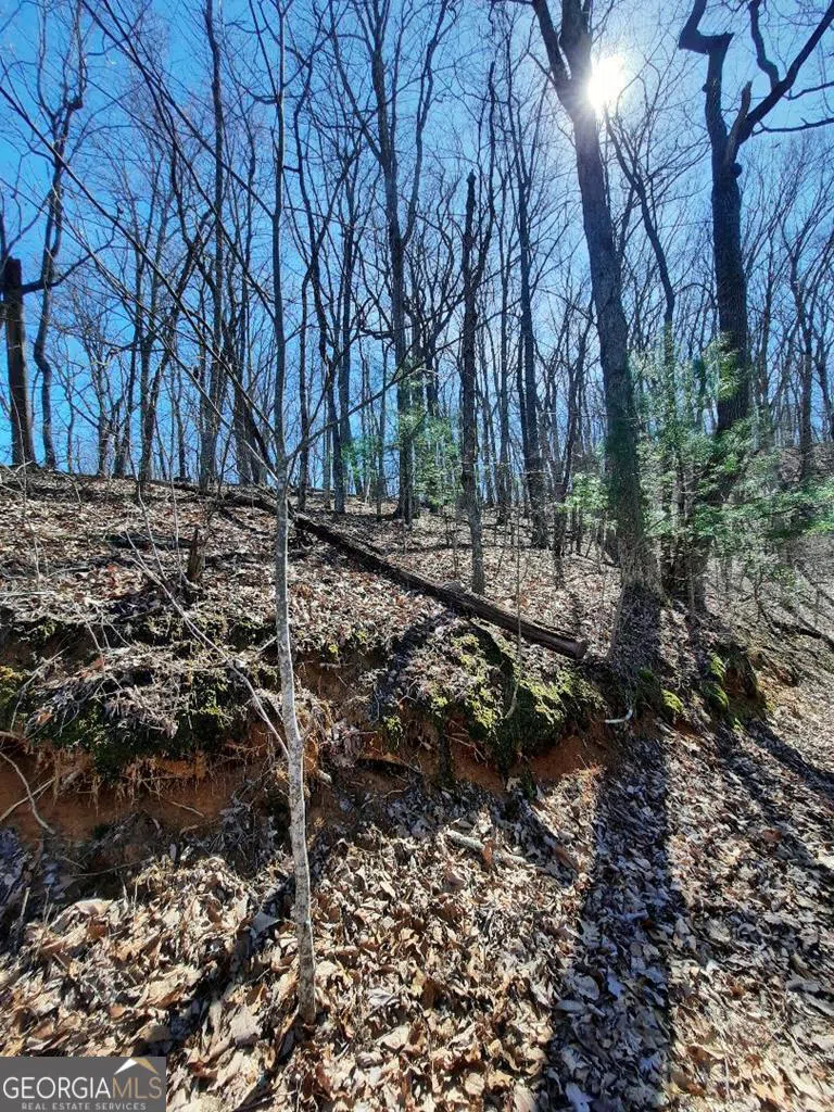 LOT 7 Quail Run RDG Murphy, NC 28906