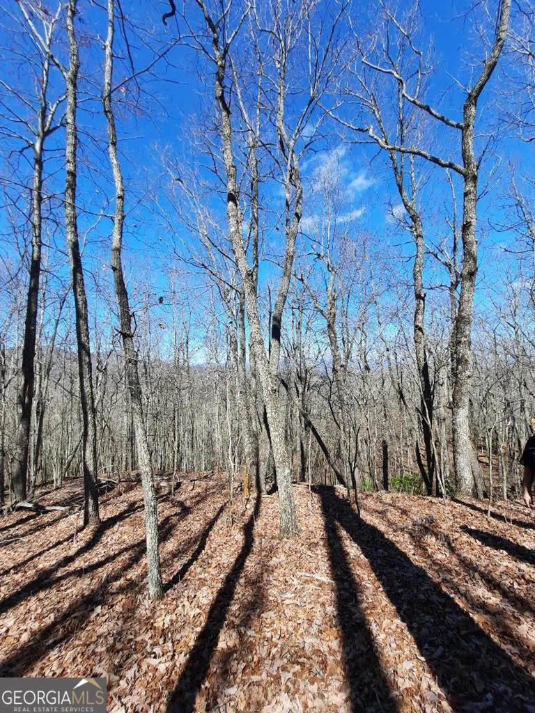 LOT 7 Quail Run RDG Murphy, NC 28906