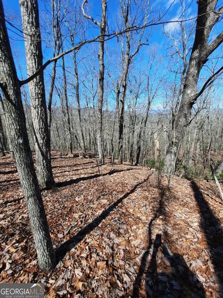 LOT 7 Quail Run RDG Murphy, NC 28906