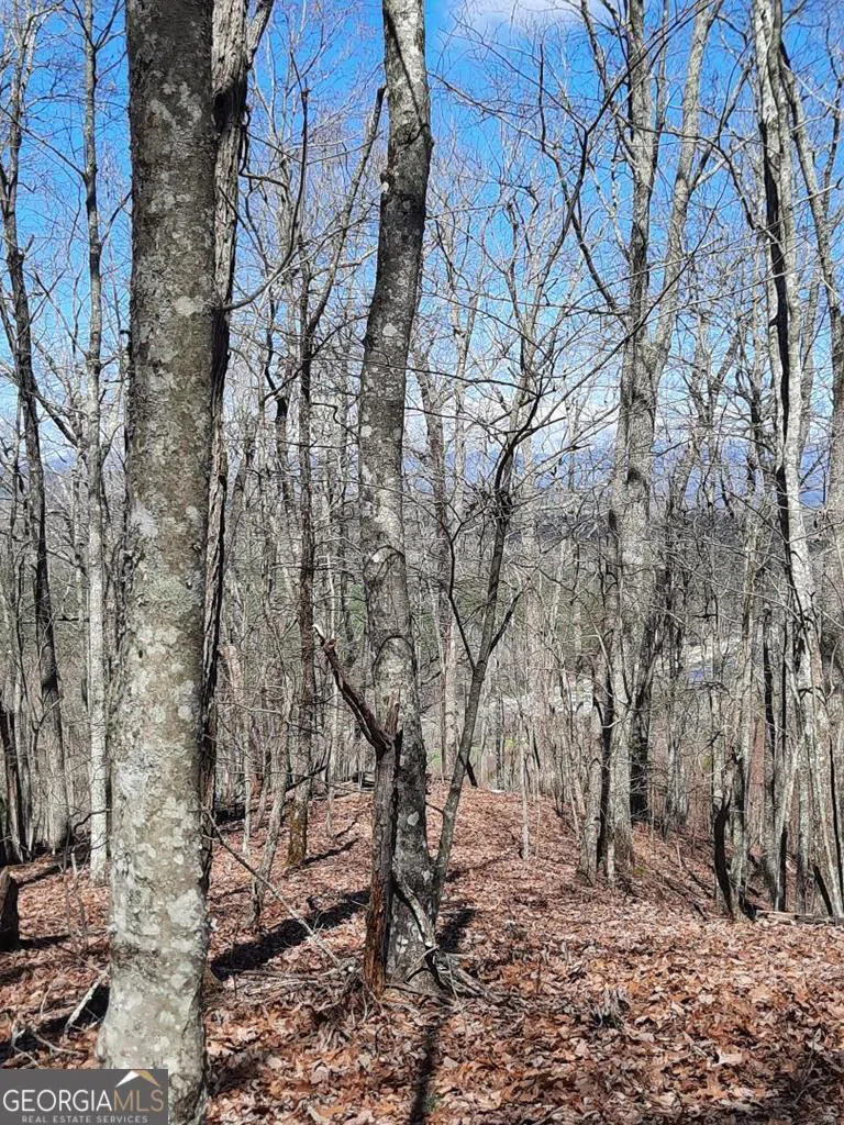 LOT 7 Quail Run RDG Murphy, NC 28906