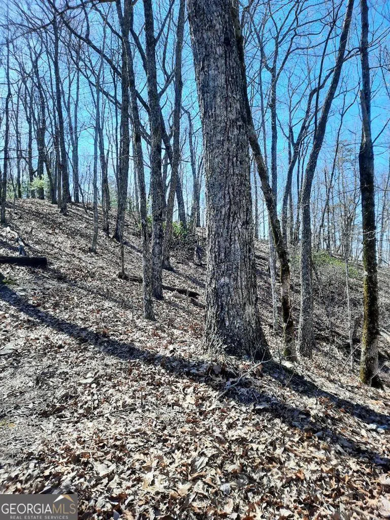 LOT 7 Quail Run RDG Murphy, NC 28906