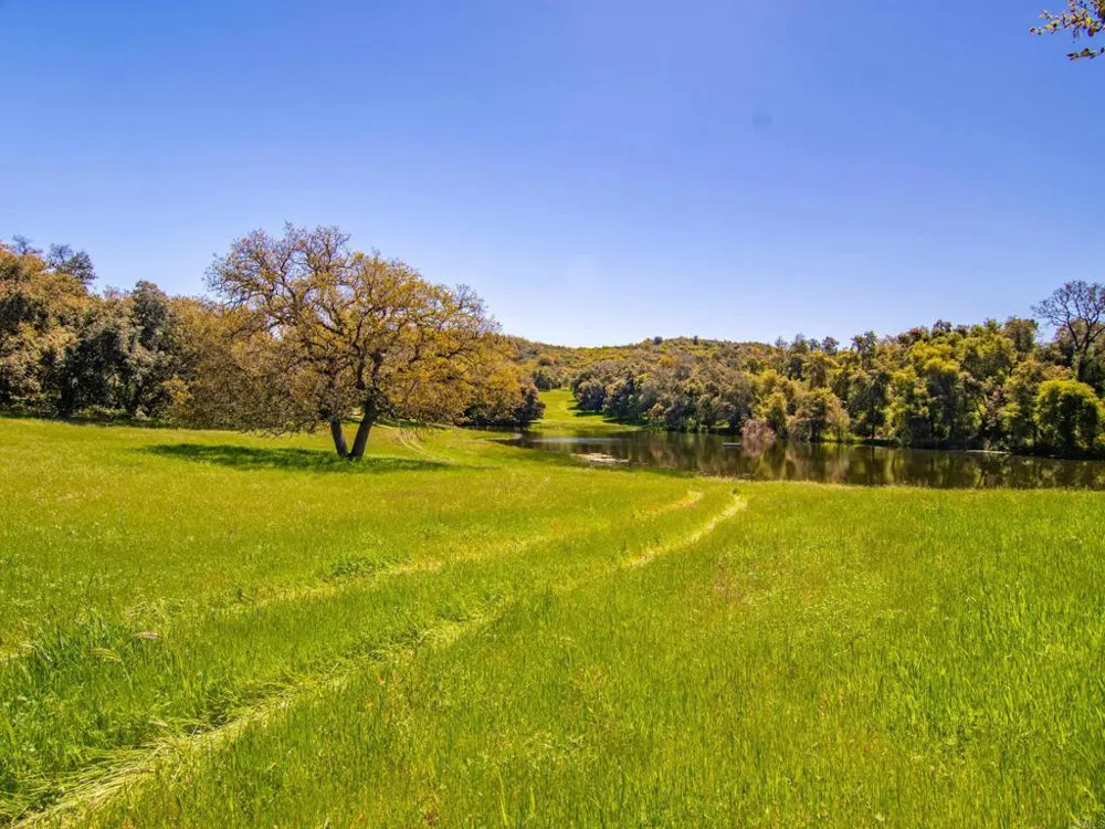 342 Mesa Grande Road Santa Ysabel, CA 92070